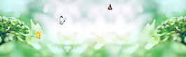 清新綠葉banner背景素材