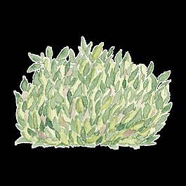 绿色手绘草丛透明卡通素材装饰