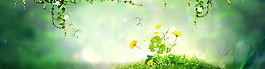 綠色植物大樹banner背景素材