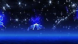 浪漫唯美熒光星空蝴蝶