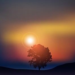 夕阳映衬下一棵树的剪影