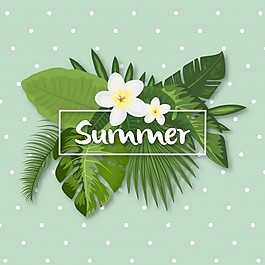 熱帶夏季設(shè)計