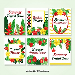 多彩的熱帶夏季賀卡