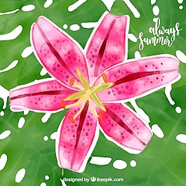 水色熱帶花卉背景