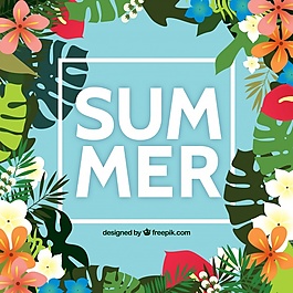 夏季熱帶花卉背景