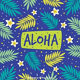 ALOHA模式的背景