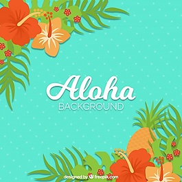 自然的ALOHA背景
