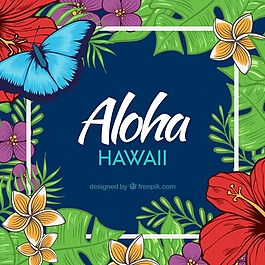 現(xiàn)實的ALOHA背景
