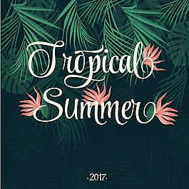 熱帶夏季背景
