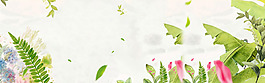 小清新綠葉邊框背景