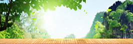 小清新陽光大樹背景