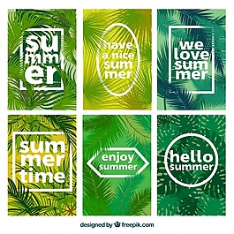 帶信息的Palm卡片集