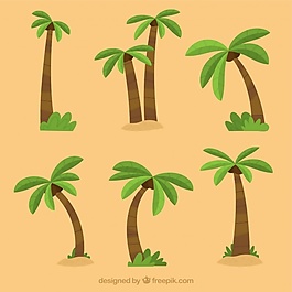 平面設(shè)計(jì)中的棕櫚樹