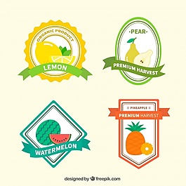 一套美丽的复古水果贴纸