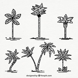 一套手繪棕櫚樹