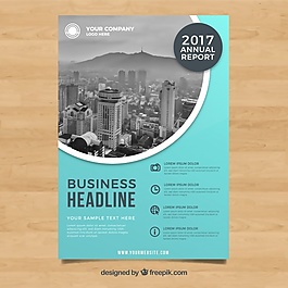 2017年度商業(yè)報告封面