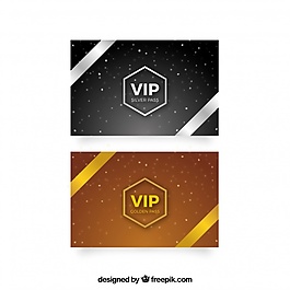 一套金銀貴賓卡