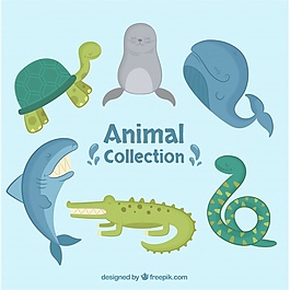 海洋動物扁平采集