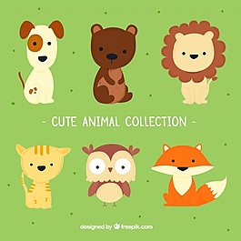 可愛的小動物收藏