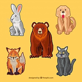 動物設計組合