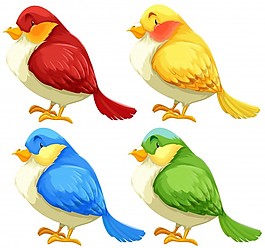 鳥
