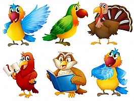 五顏六色的羽毛的動物