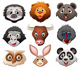 野生動物的臉