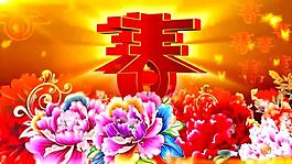 中国农历新年春节春暖花开喜庆