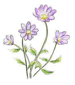 手绘紫色花朵花枝png元素素材