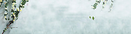 清新綠色樹葉banner背景素材