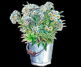 綠色手繪植物卡通透明水彩素材