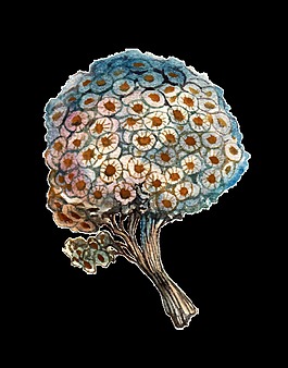 樹木卡通透明水彩素材