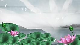 中國風荷花光暈視頻素材