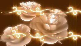 浪漫淺粉花朵動態視頻素材