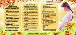 孕婦生寶寶展板信息板