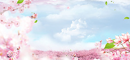 清新粉色花朵banner背景素材