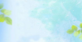 清新绿色树叶banner背景素材