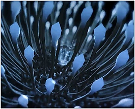 3d動畫視頻素材