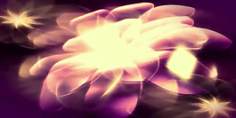 金紅炫光光線花朵視頻素材