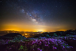 太空紫色花朵唯美星空背景