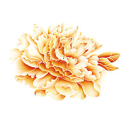 2018年花開富貴元素