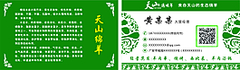 綠色名片設(shè)計(jì)