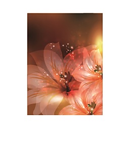 紅色花朵星光矢量素材