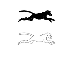狒狒奔跑