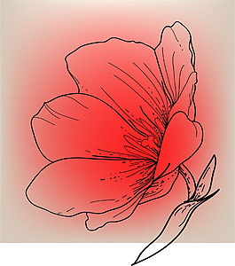 紅色印花花卉矢量素材