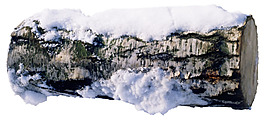 木頭上的雪png元素素材