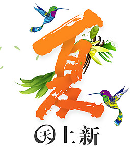 夏日上新png元素素材