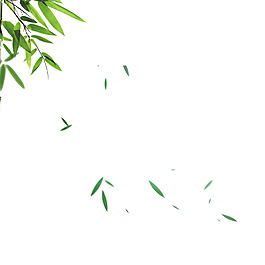 落下的竹葉png元素素材