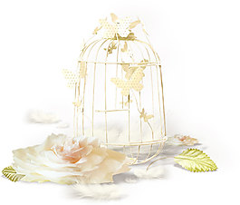 金色鳥籠花瓣樹葉png元素素材