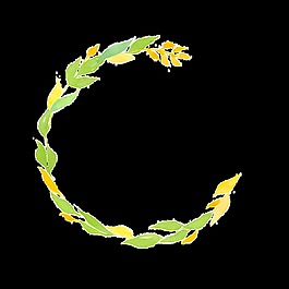 葉子邊框透明素材